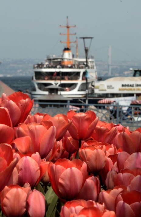 İstanbul 20 milyon laleyle rengarenk 5