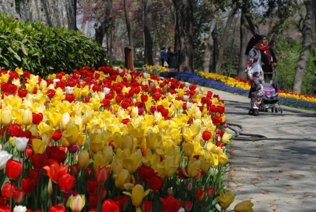 İstanbul 20 milyon laleyle rengarenk 7