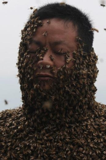 460 bin arı vücudunu kapladı 10