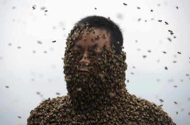 460 bin arı vücudunu kapladı 15