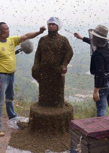 460 bin arı vücudunu kapladı 18