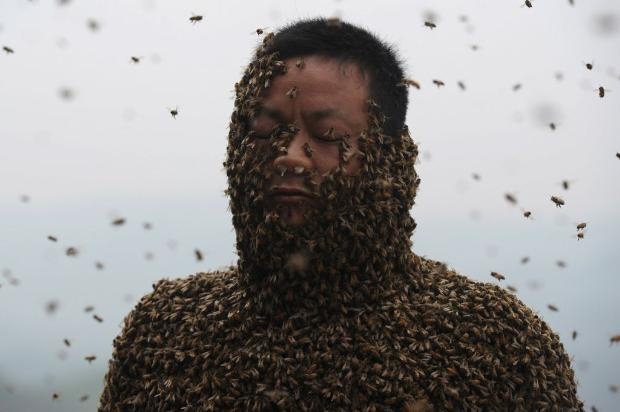 460 bin arı vücudunu kapladı 4