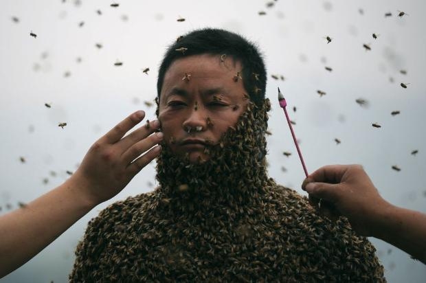 460 bin arı vücudunu kapladı 6