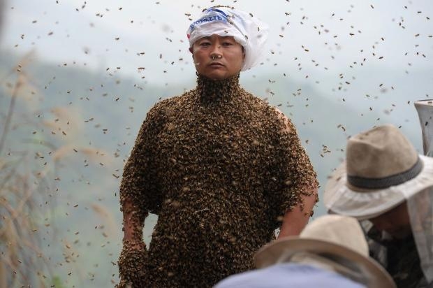 460 bin arı vücudunu kapladı 7