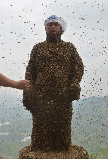460 bin arı vücudunu kapladı 9
