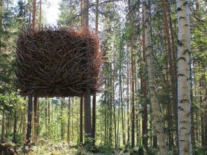 Birbirinden harika ağaç evler