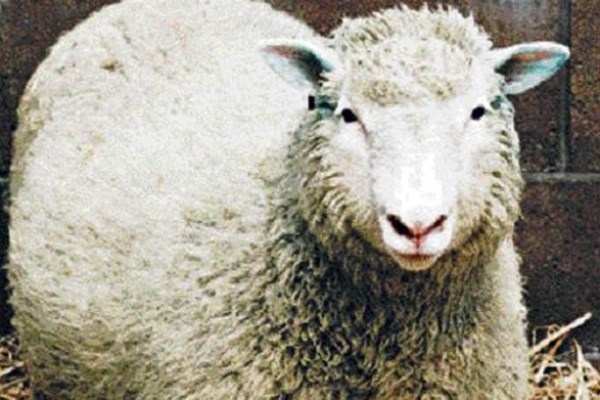 Dünyayı değiştiren 10 icat 9