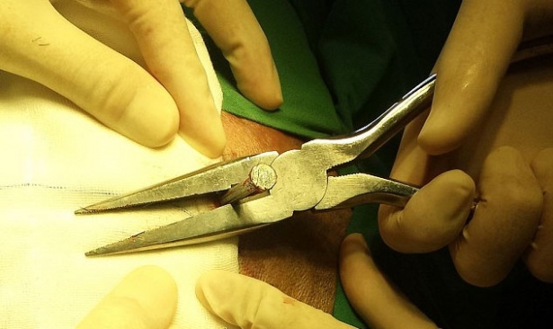 Tarihe kazınan mucizevi kurtuluşlar 18