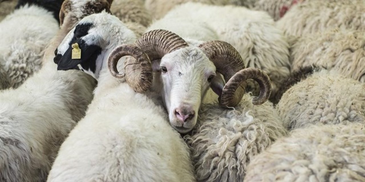 Bayram tatili 9 gün olacak mı ?