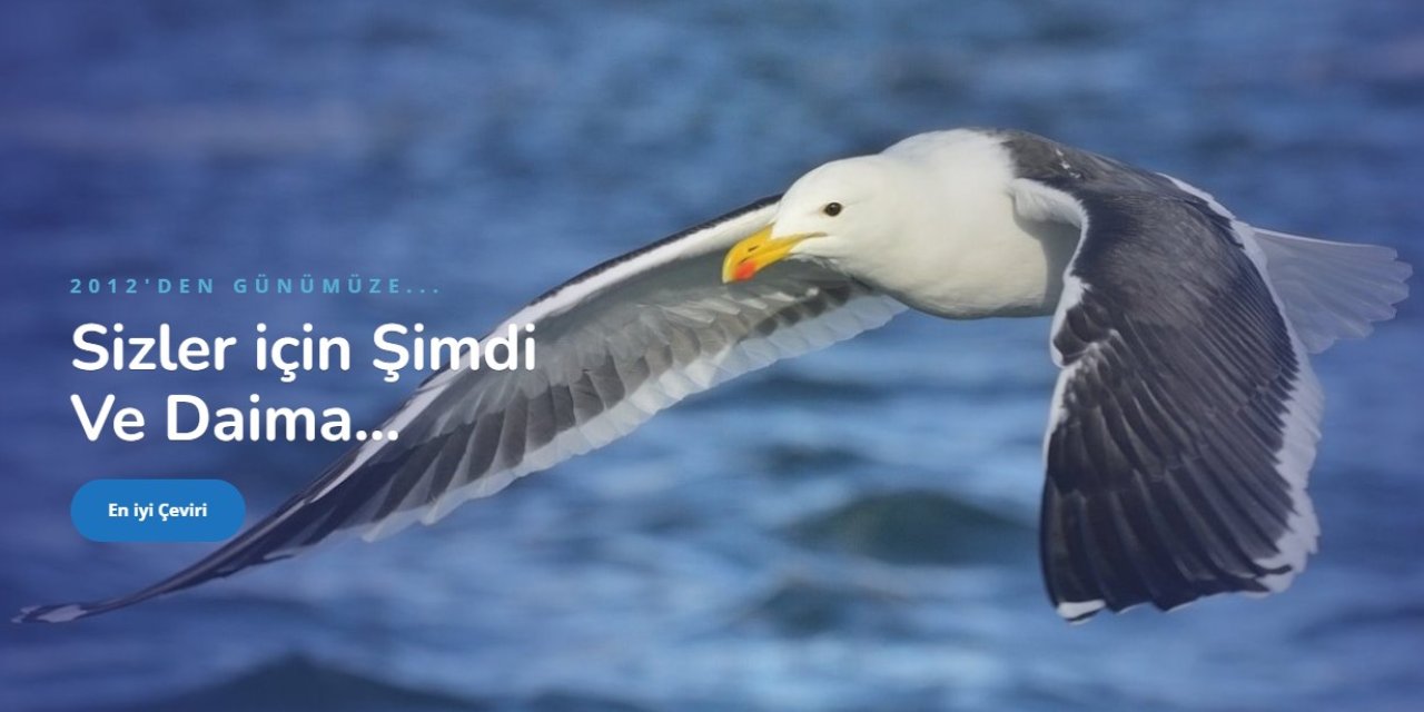 Boşnakça, Türkçe ve Kırgızcanın Önemi