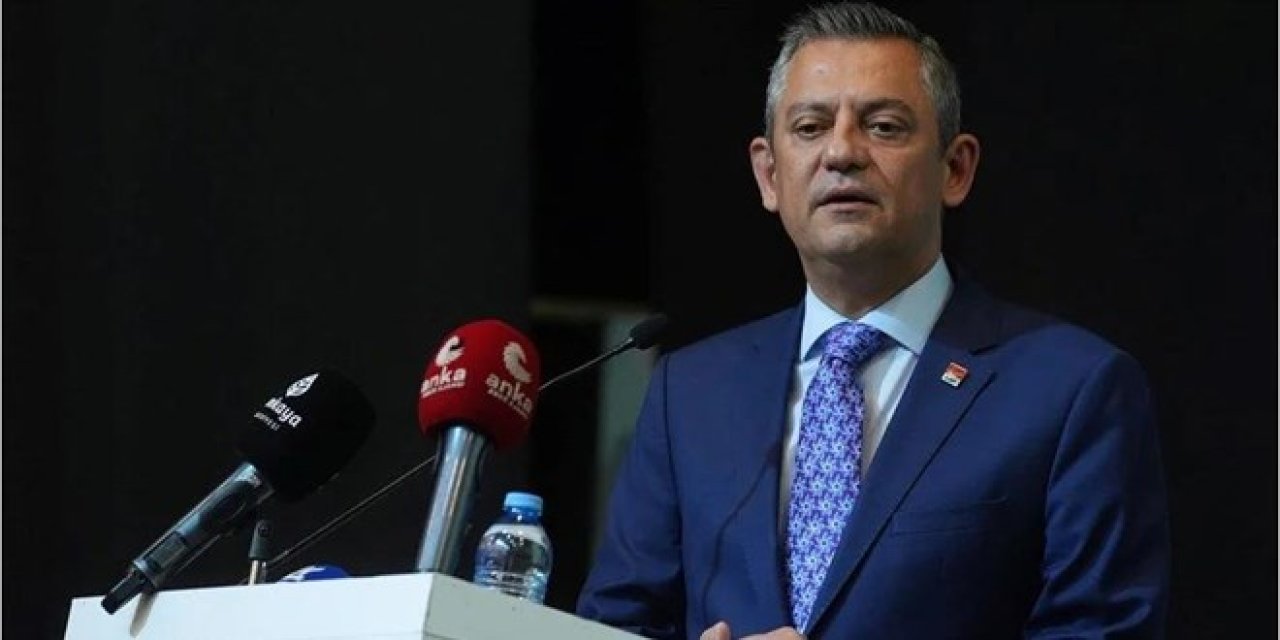Özgür Özel: Sahipsiz hayvanlarla ilgili kanunu AYM'ye götüreceğiz
