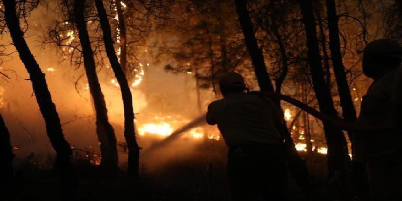 Bakan Tunç açıkladı: Orman yangınlarıyla ilgili 9 kişi tutuklandı
