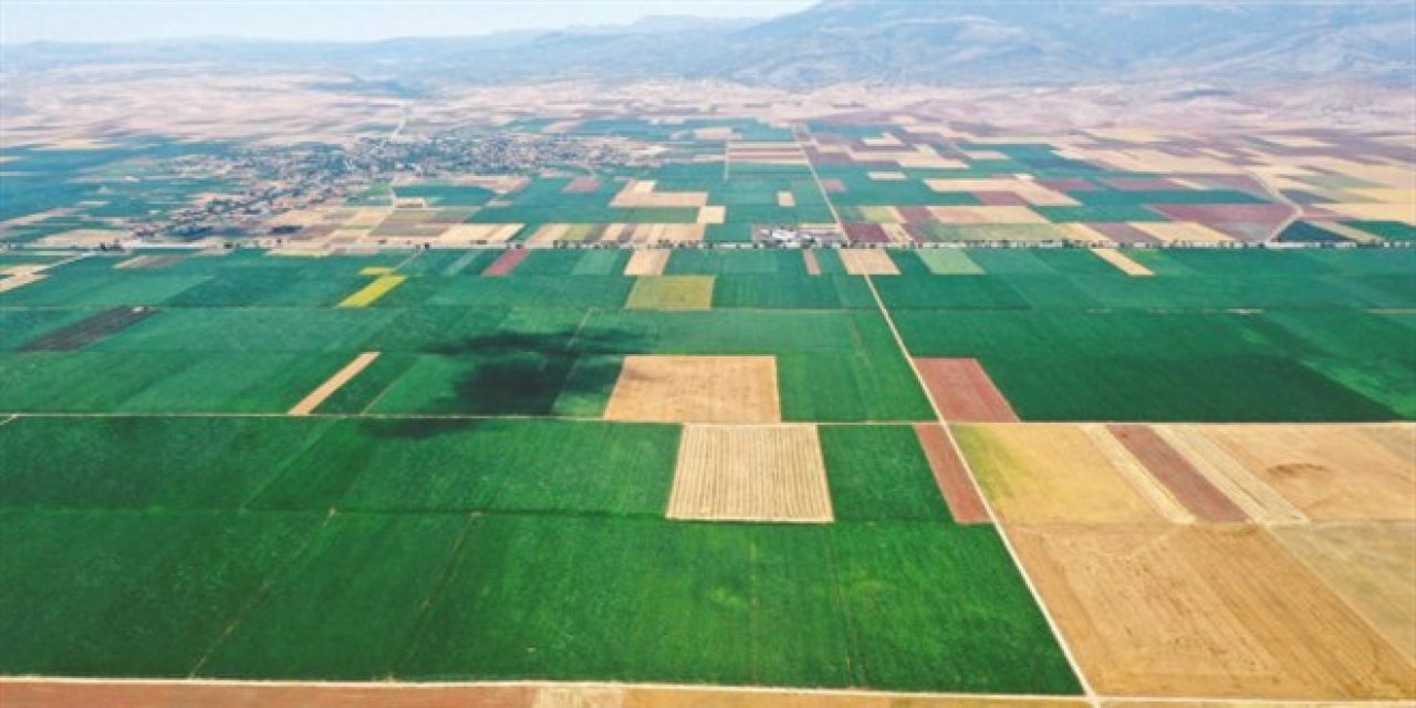 2 yıl ekilmeyen Tarım arazileri böyle kiralanacak