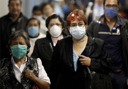 Domuz gribinden ölenler için yeraltı mezarları