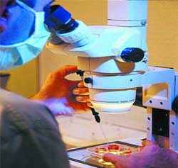 Okulda deney tüpü patladı:6 yaralı