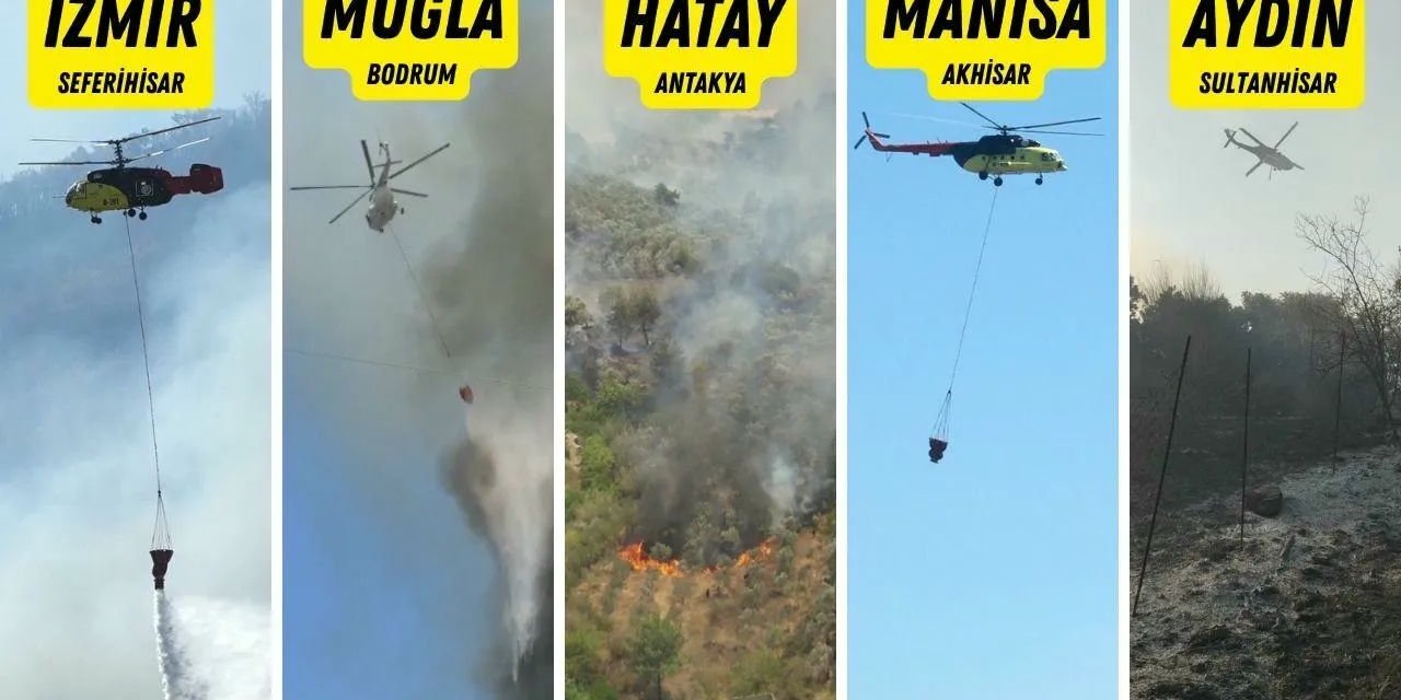 Manisa, Hatay, İzmir, Muğla... Orman Yangınlarında son durum açıklandı!