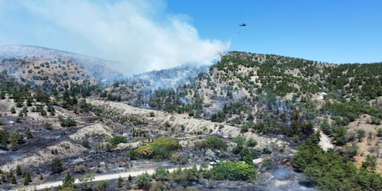 Ankara Eymir'de orman yangını çıktı: Müdahale sürüyor!