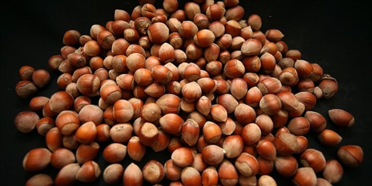 Fındıkta fiyat belirsizliği krize dönüşüyor!