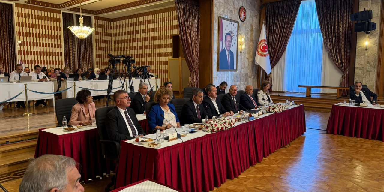 Türkiye Kamu-Sen; Milli Dayanışma, Kardeşlik ve Demokrasi Komisyonunda