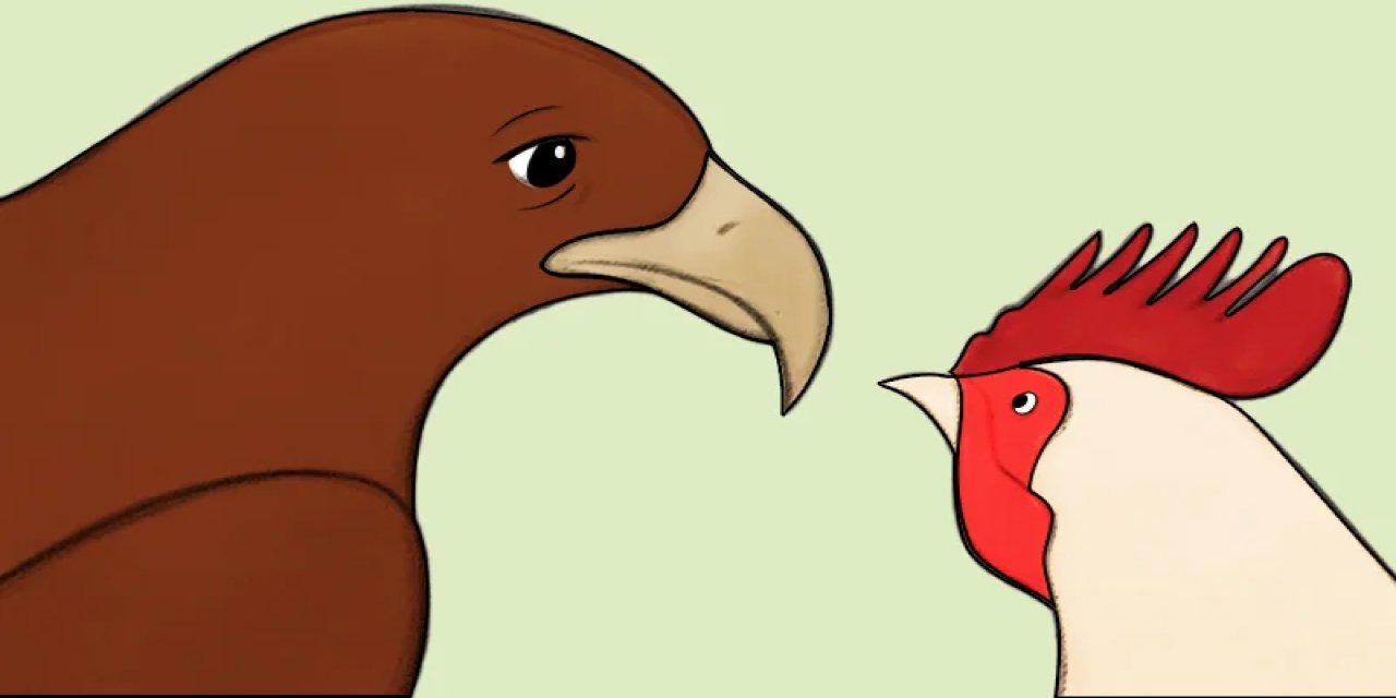 Kartalların Tavuk Gibi Yaşaması