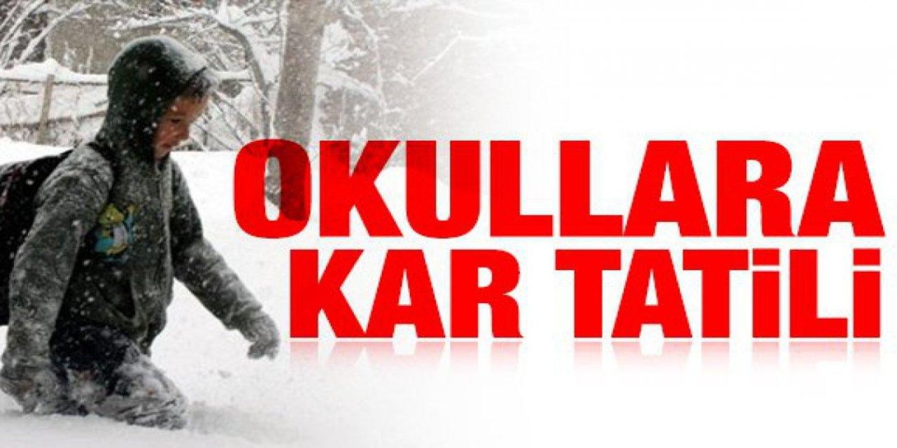 Eğitime hava engeli! 14 ilçede taşımalı eğitim durduruldu