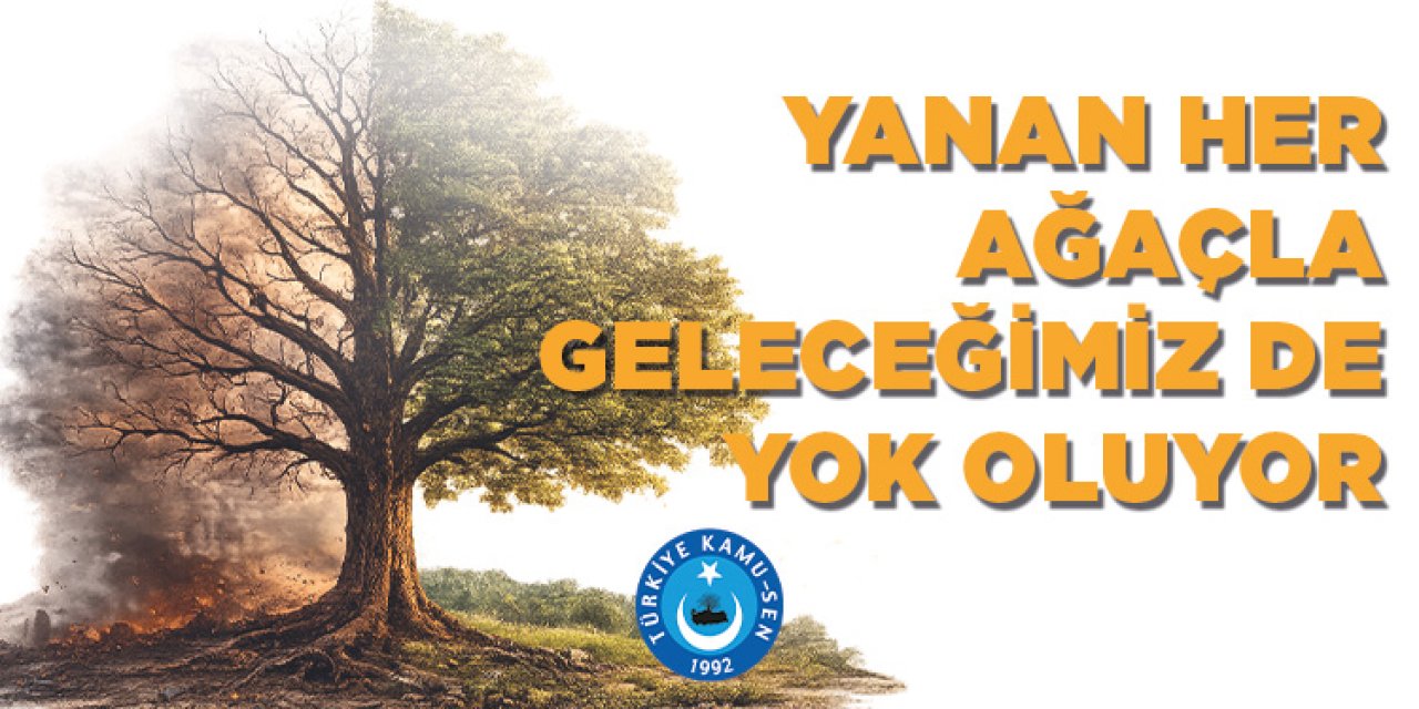 Türkiye Kamu-Sen'den Orman Yangınlarına Çağrı: "Geleceğimiz de Yok Oluyor"