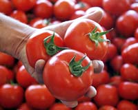 Tarlada bir, pazarda 5 lira dönemi bitiyor