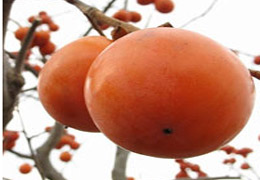 Yüksek Tansiyonu Düşürüyor