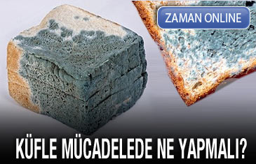Zaman Online - Küfle mücadelede ne yapmalı?