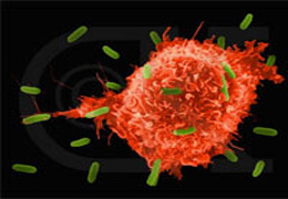 Kansere Karşı Yeni Umut