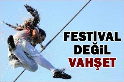 Festival değil vahşet