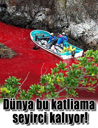 Dünya bu katliama seyirci kalıyor