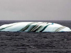 Doğanın sanat galerisi