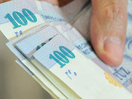 Mehmet Şimşek 2010 bütçesini açıkladı