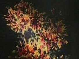 Virüsle ilgili korkunç iddia