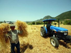 Tarım Destekleme Miktarları Belli Oldu.