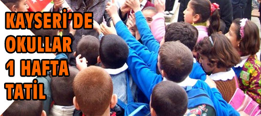 Kayseri'de 1 hafta domuz gribi tatili