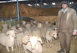 Kurbanlık Üreticilerine Müjde
