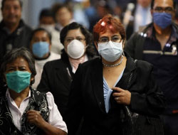 Domuz gribi öldürerek yayılıyor