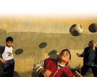 Sosyal devlet sahaya iniyor