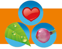 Uzun yaşamanın sırrı: Günde bir soğan, doğal kaynak suyu