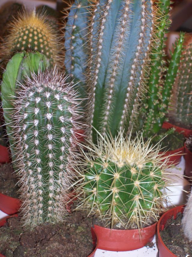 Bilgisayarın zararını yok ediyor