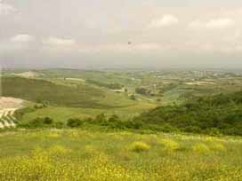 Arsa alacaklara 10 altın kural