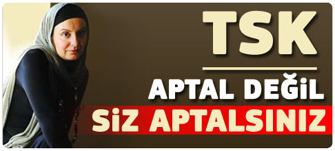 TSK aptal değil ama siz aptalsınız