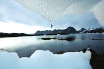 Petrol şirketinin kirli oyunu