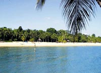 Güneydoğu Asya'da kum hırsızlığı savaşı