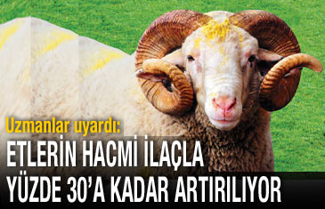 Bradmix adlı ilaçla etlerin hacmi yüzde 30 artırılıyor