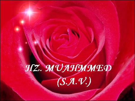 Hz. Muhammede hakaretten yargılanacak