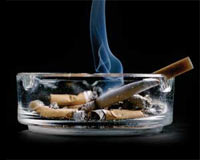 Sigarada domuz kanı mı var?