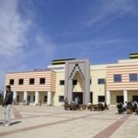 Bosnaya öğrenci akını